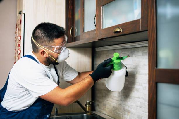 Best Best Pest Control Companies  in Man, IL