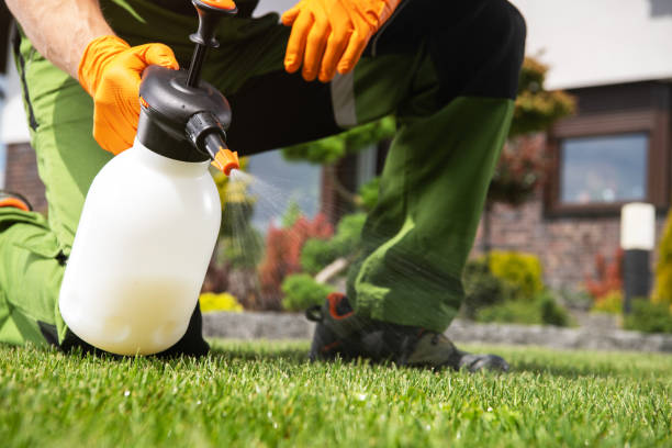 Best Exterminator Services  in Man, IL