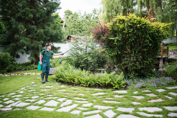 Best Best Pest Control Companies  in Man, IL