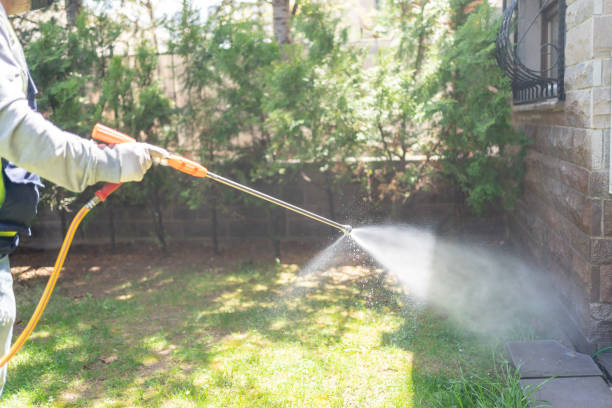 Best Termite Control Services  in Man, IL