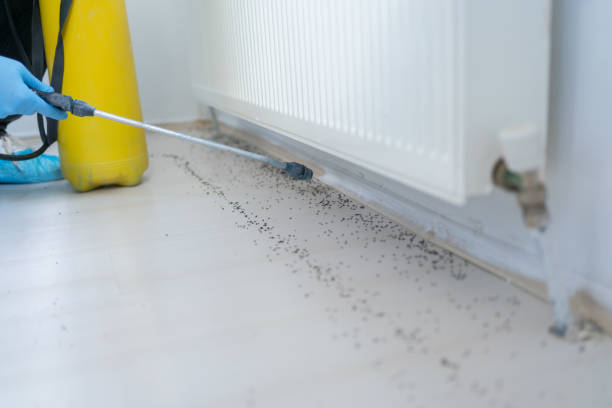 Best Commercial Pest Control Services  in Man, IL