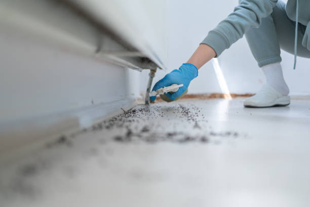 Best Rodent Control Near Me  in Man, IL